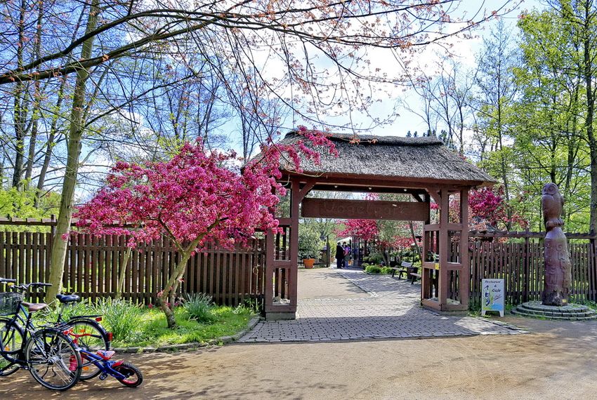 Vogelpark Niendorf an der Ostsee